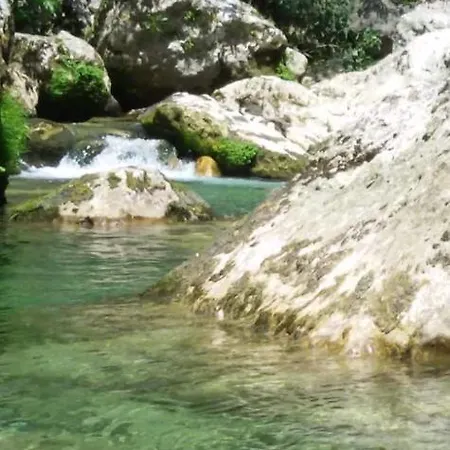 Bed & Breakfast La Salamandre En Provence *