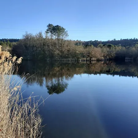 La Salamandre En Provence * Saint-Paul-en-Forêt