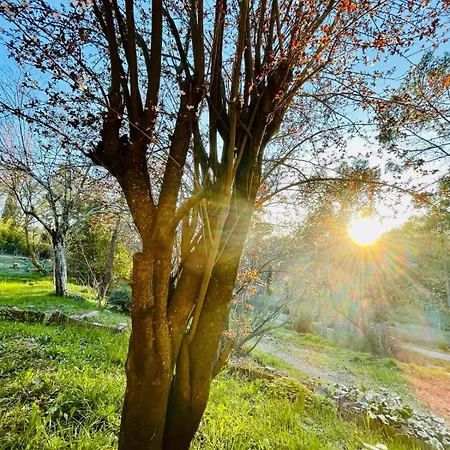 Nocleg ze śniadaniem La Salamandre En Provence